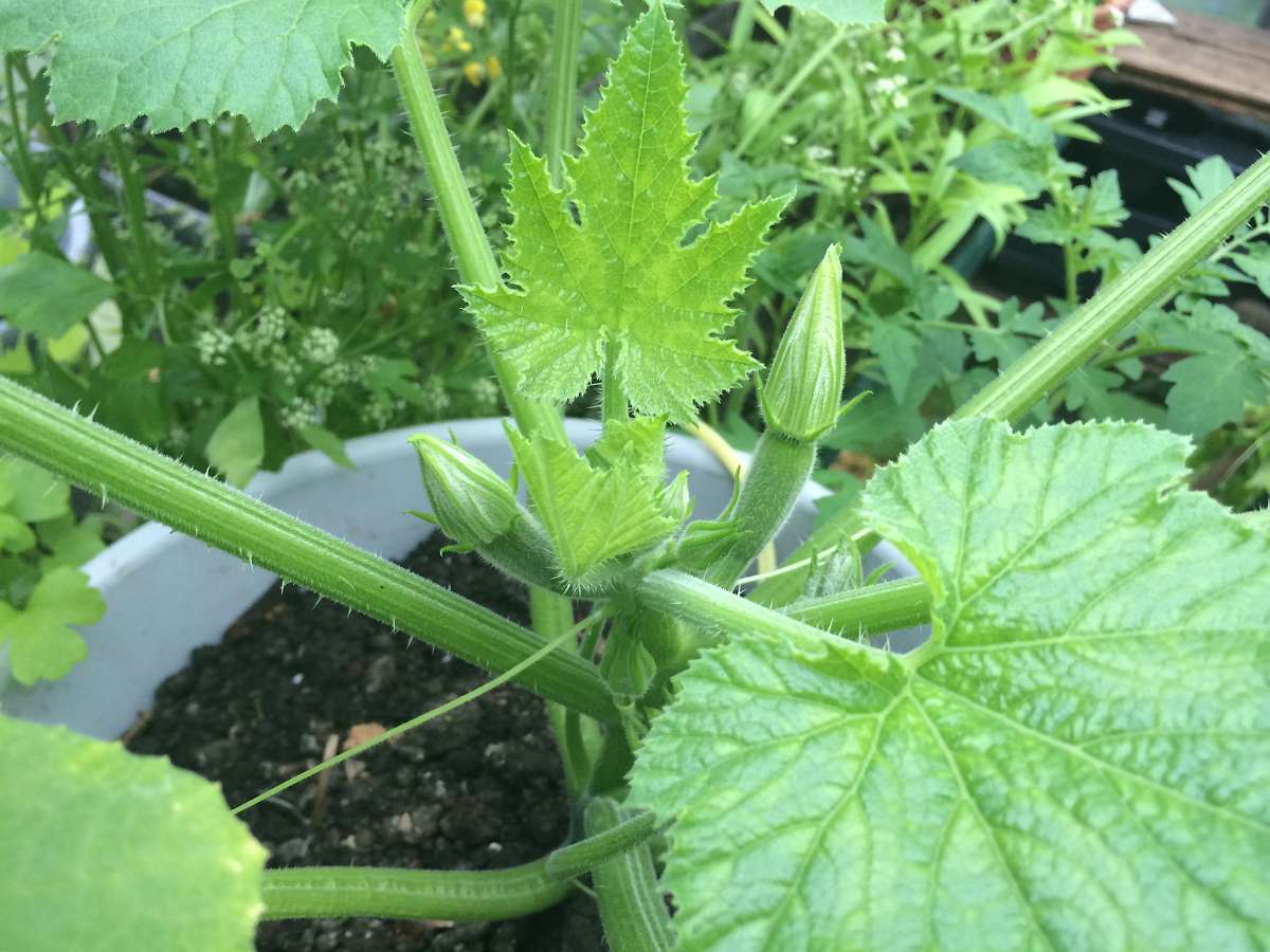 2014-05-03 10-10-05.JPG